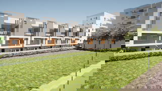 Ideal Block A Blooms